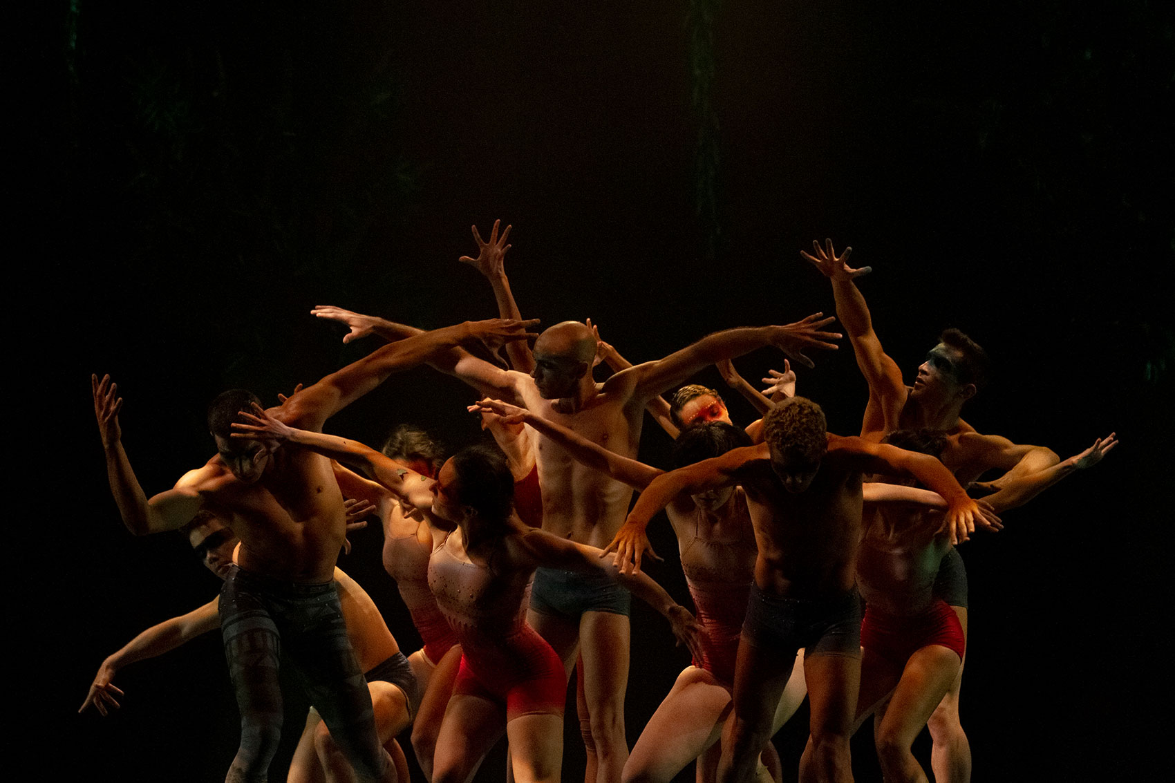 Curitiba Cia de Dança